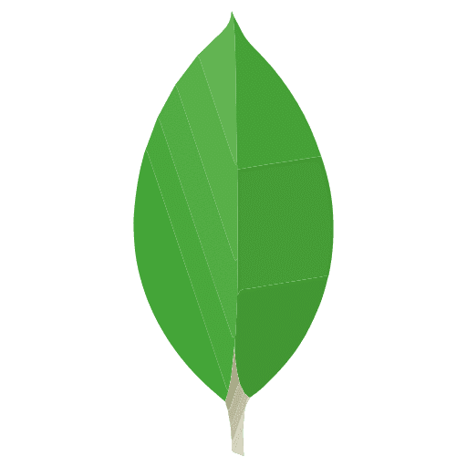 MongoDB - Technology used by Durgesh Dubey
